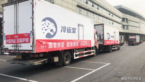 若人民有召喚,這家平臺使命必達