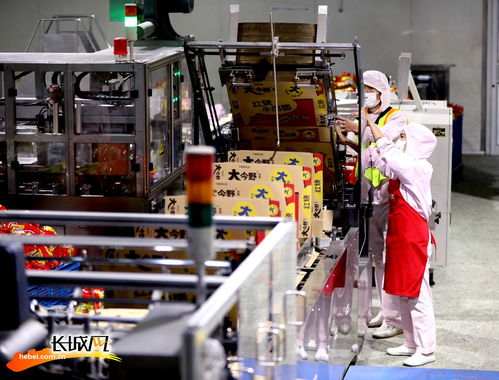 高清組圖 河北隆堯 做強做優(yōu)食品產(chǎn)業(yè)鏈